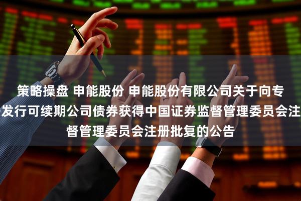 策略操盘 申能股份 申能股份有限公司关于向专业投资者公开发行可续期公司债券获得中国证券监督管理委员会注册批复的公告