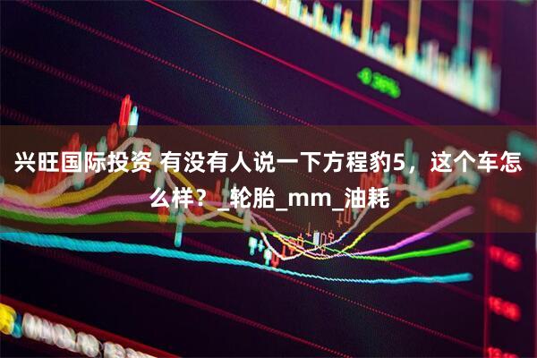 兴旺国际投资 有没有人说一下方程豹5,这个车怎么样?_轮胎_mm_油耗
