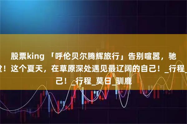 股票king 「呼伦贝尔腾辉旅行」告别喧嚣，驰骋北境天堂！这个夏天，在草原深处遇见最辽阔的自己！_行程_莫日_驯鹿