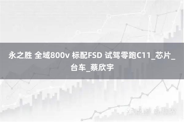 永之胜 全域800v 标配FSD 试驾零跑C11_芯片_台车_蔡欣宇