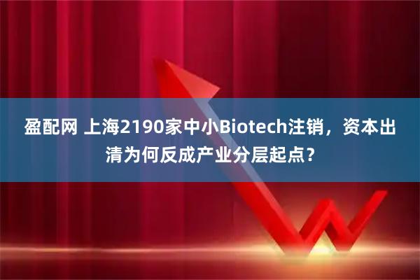 盈配网 上海2190家中小Biotech注销，资本出清为何反成产业分层起点？