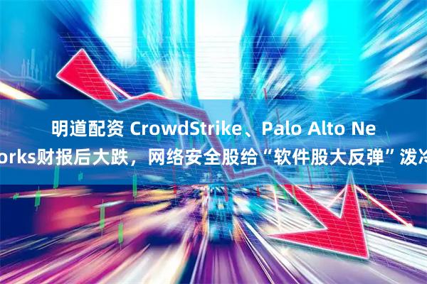 明道配资 CrowdStrike、Palo Alto Networks财报后大跌,网络安全股给“软件股大反弹”泼冷水