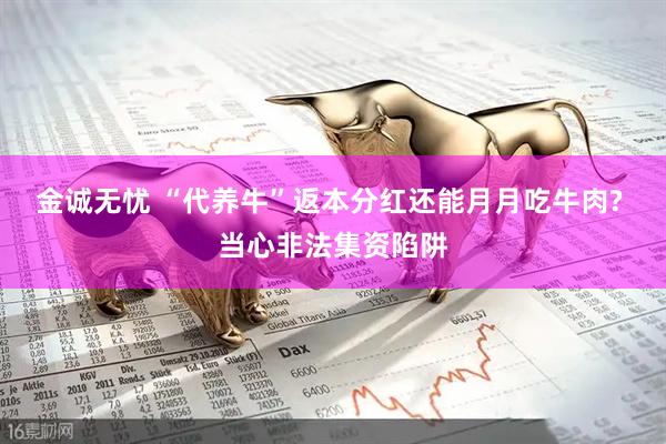 金诚无忧 “代养牛”返本分红还能月月吃牛肉? 当心非法集资陷阱